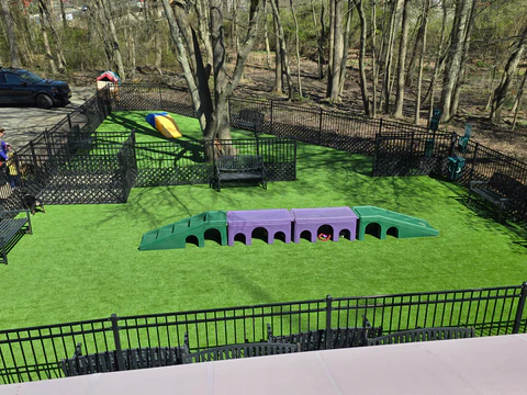 The Hungry Puppy Dog Park with agility equipment and fenced play areas